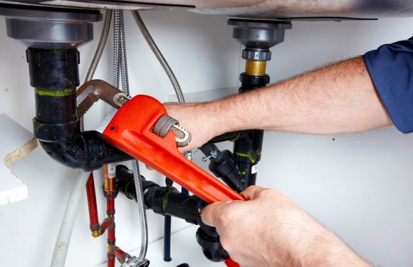 How can local handyman services in Warner Robins be helpful